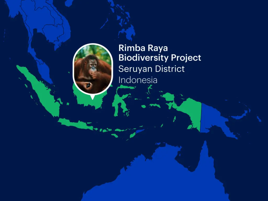 Rimbaraya 1024x768