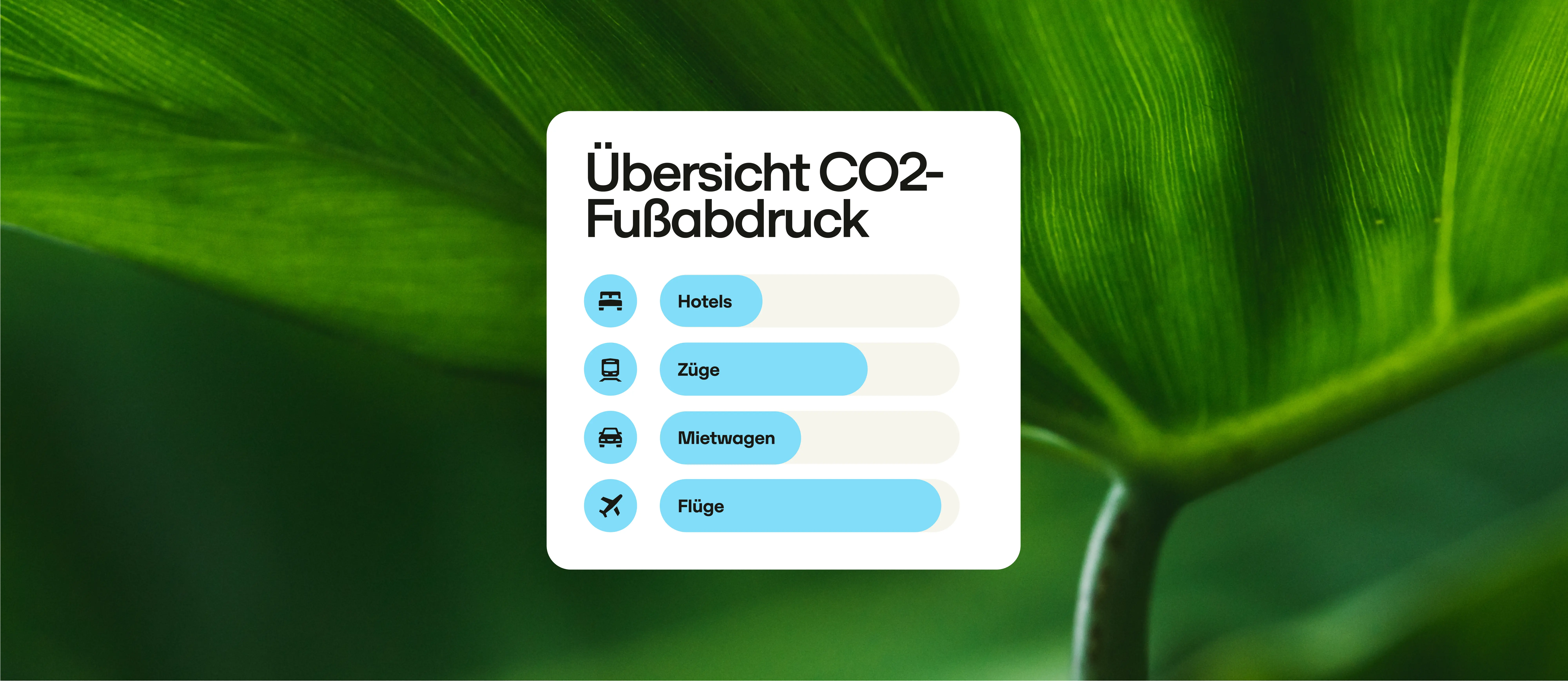 De Sustainability