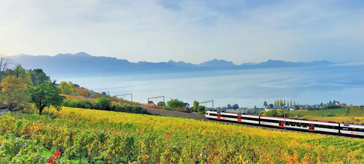 Zug fährt durch die Landschaft, im Hintergrund die Berge.