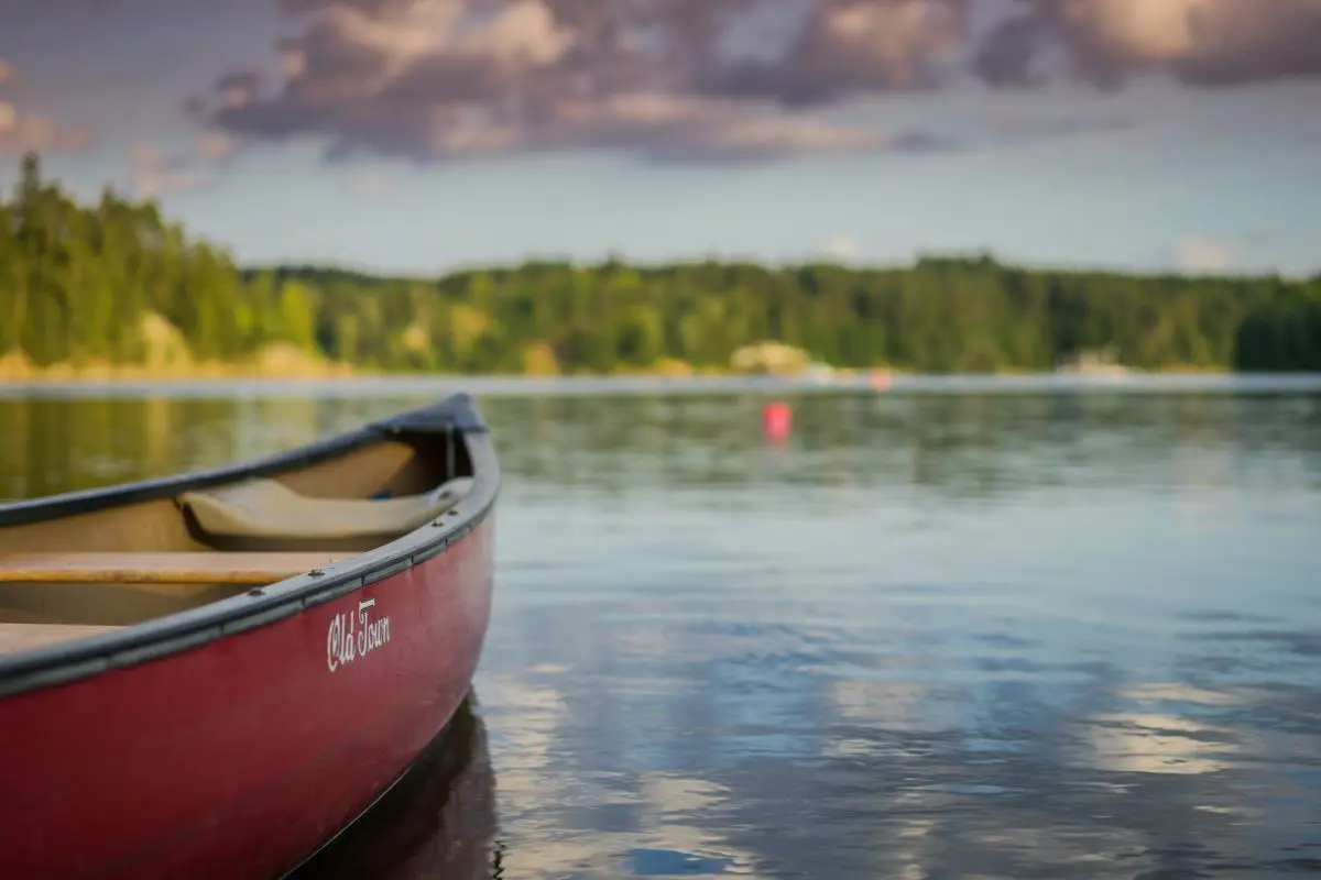 Paddle Boat On Lake