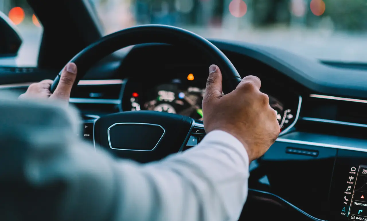 Steering Wheel With Driver