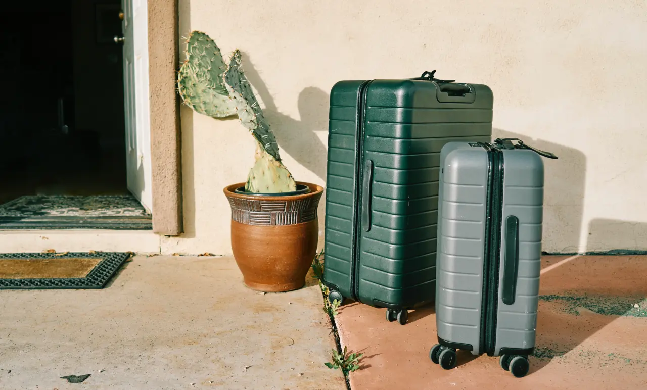 Suitcases Next To Cactus