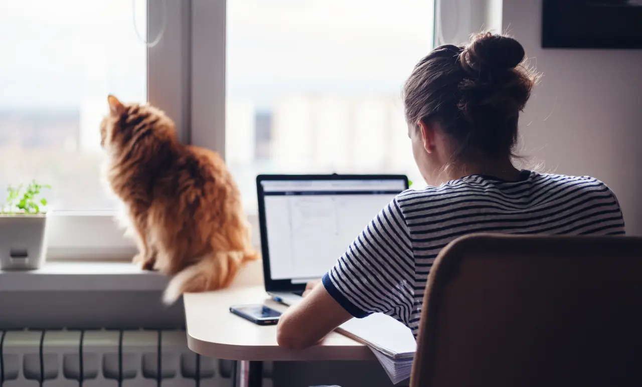 Working From Home Employee