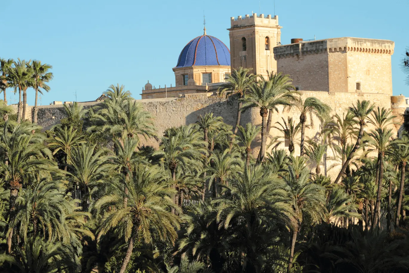 Elche