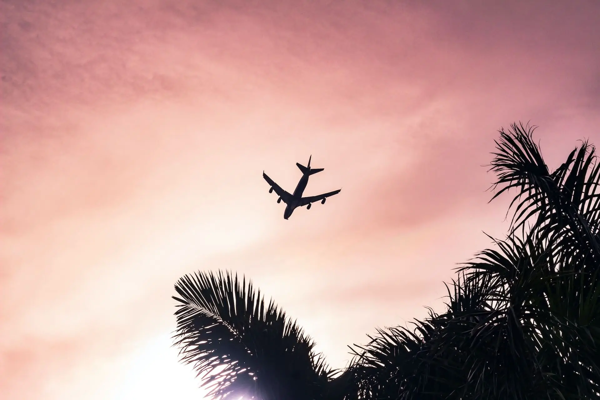 Eduardo Velazco Guart Nukqi6l 5du Unsplash 1