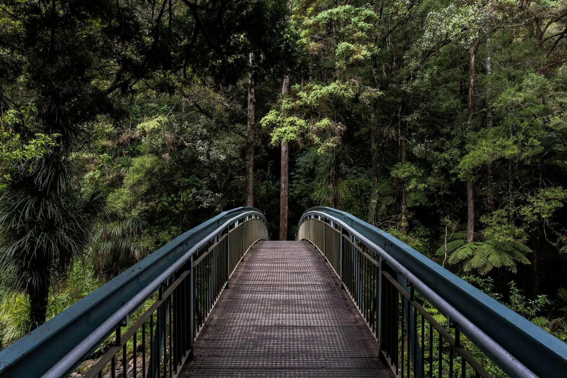 Tim Swaan Eopewngf68w Unsplash 1 1