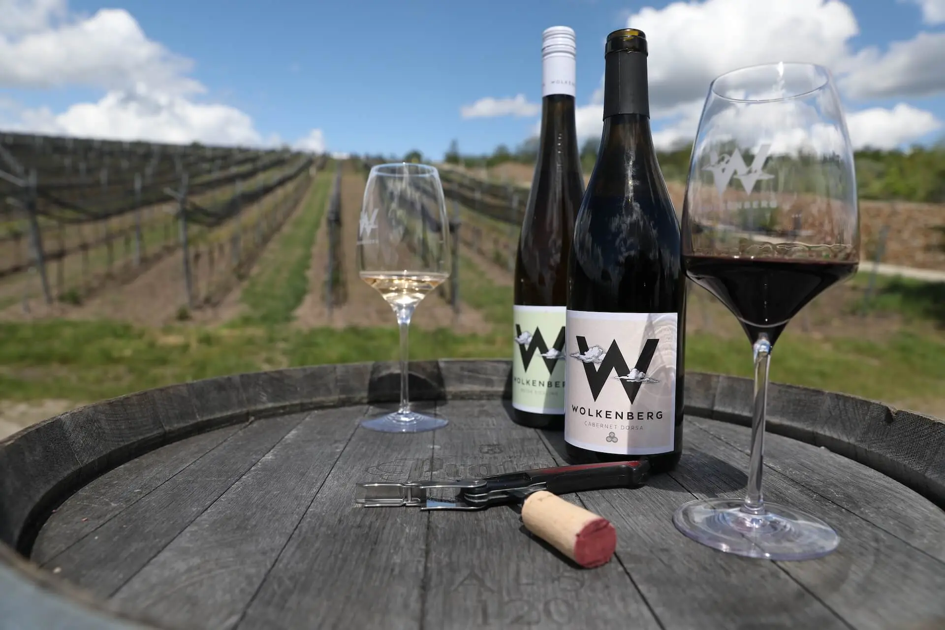 Wine Tasting