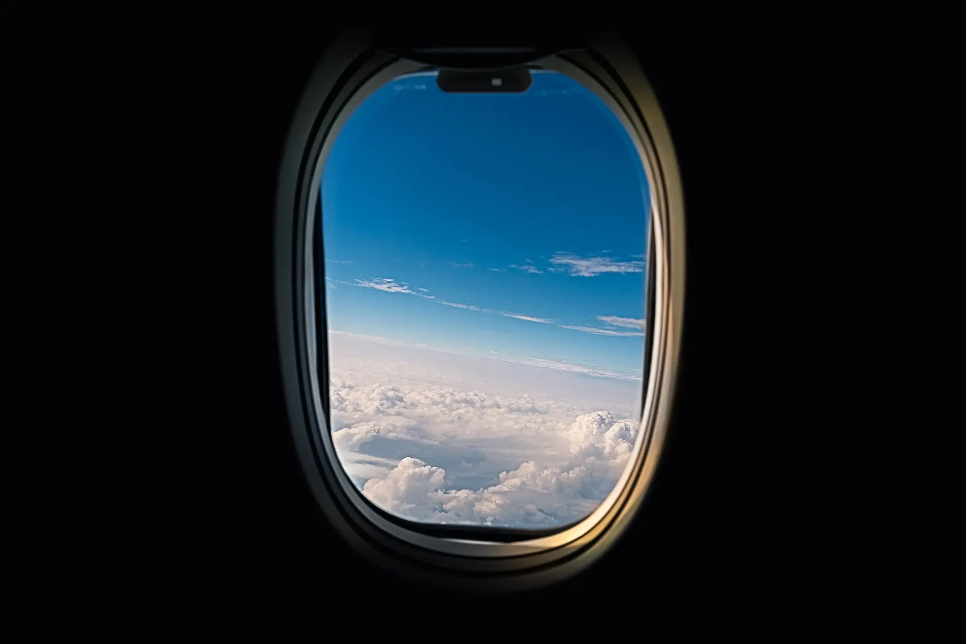 Xx Liu 1lp0oxrxv6o Unsplash
