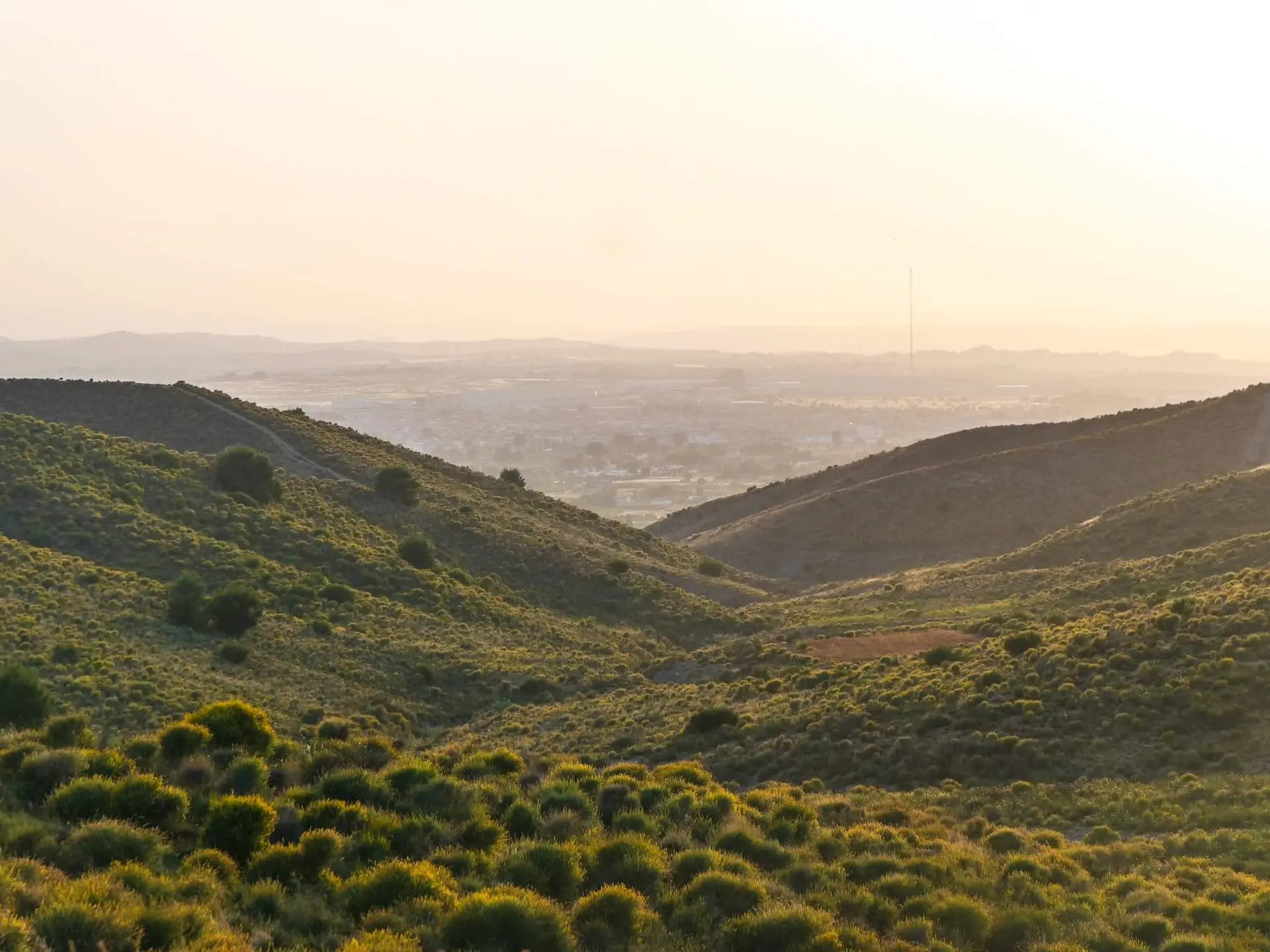 Murcia