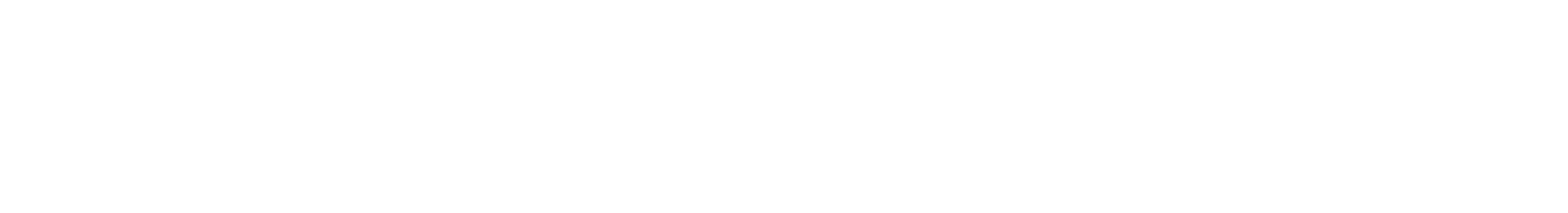 Borsen Zeitung Logo