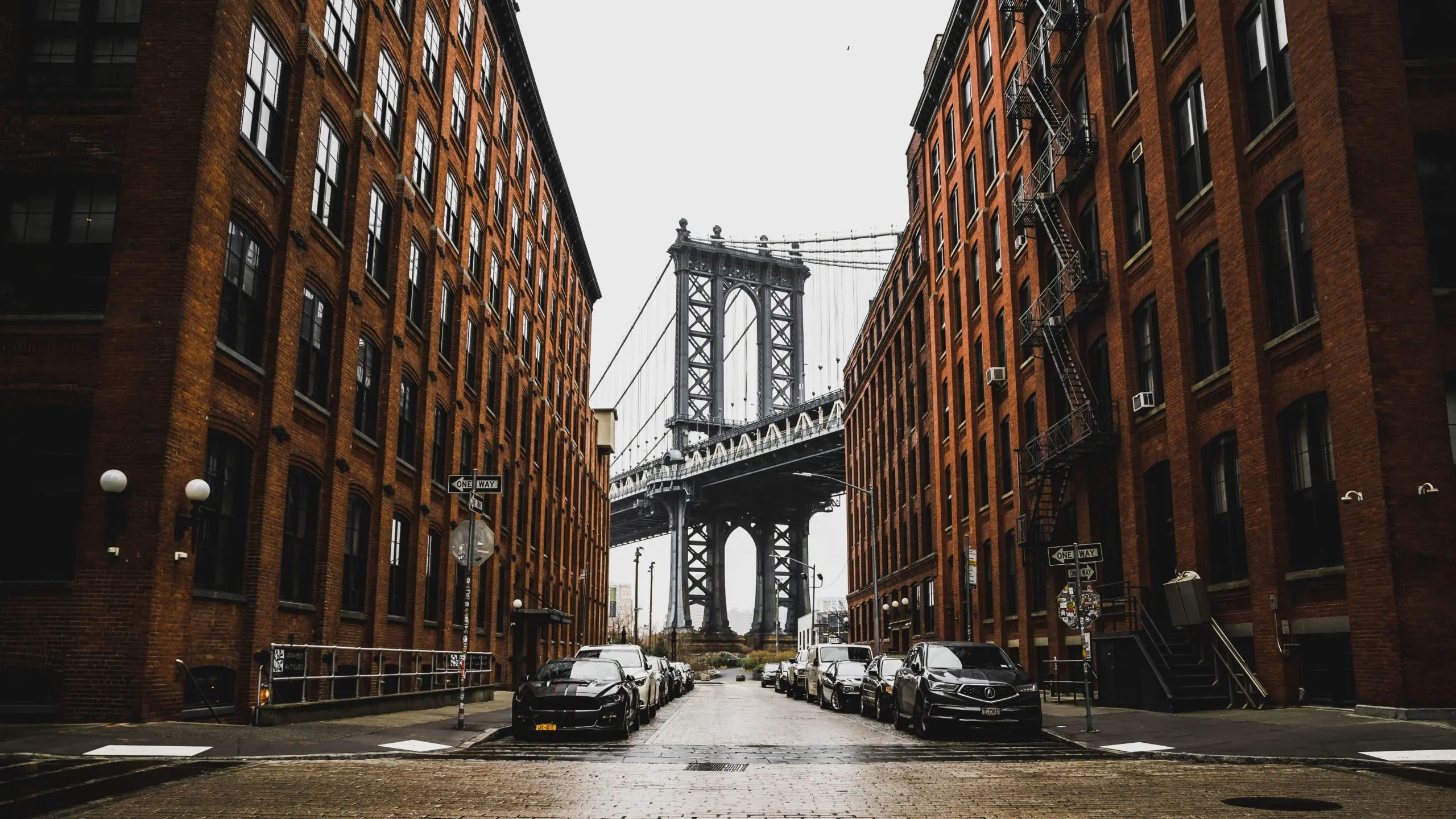New York Travel Management Scaled