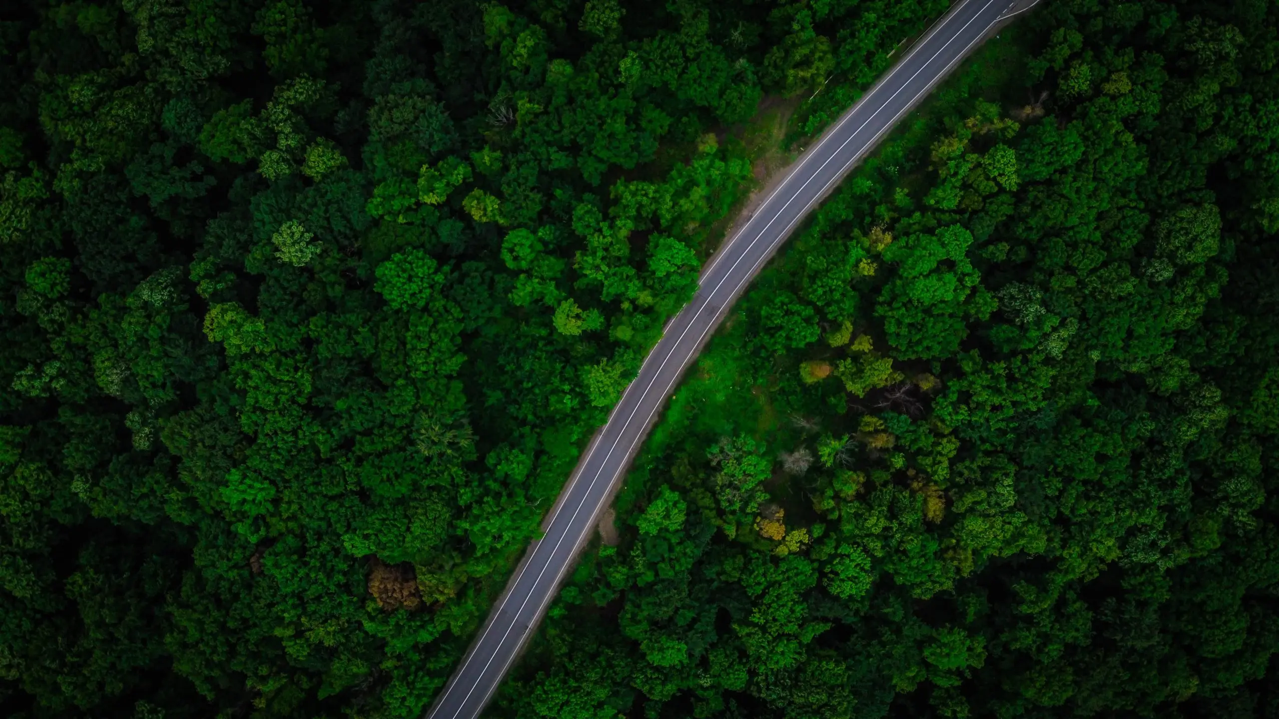 Vlad Hilitanu X9u5admwaly Unsplash Scaled