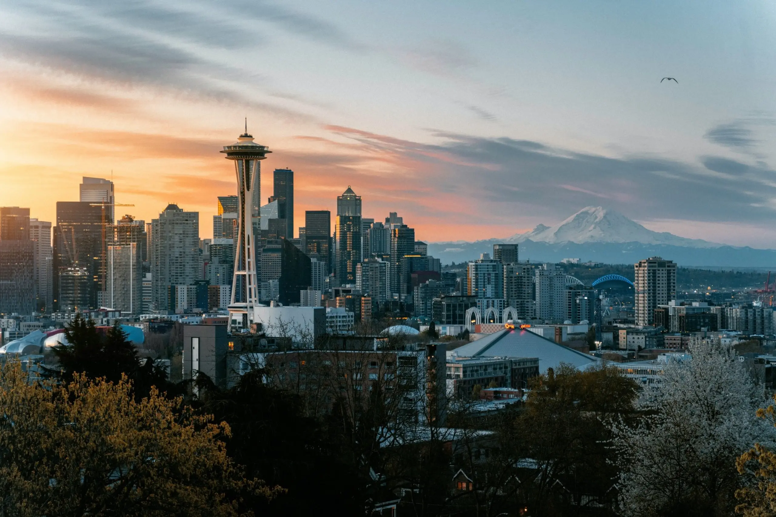 Seattle Scaled