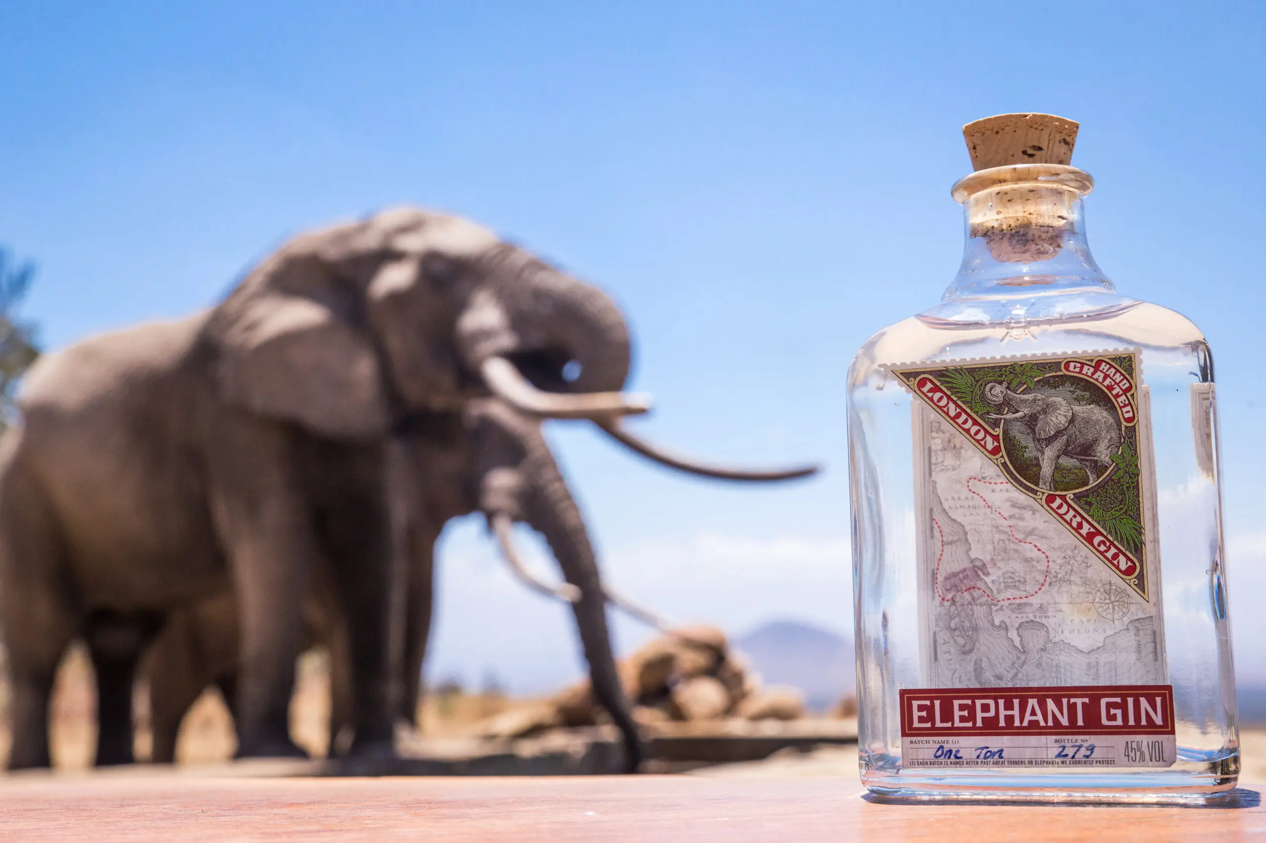 Eg One Ton Elephant Gin 3 1 Scaled