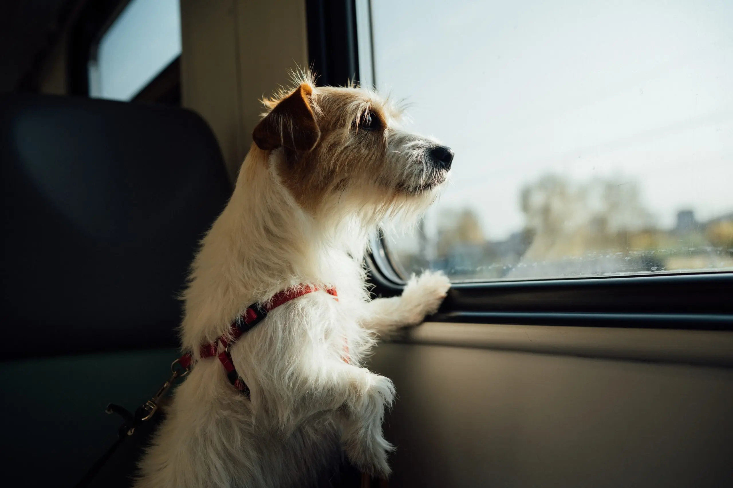 Egor Gordeev 9npaolddyms Unsplash Scaled