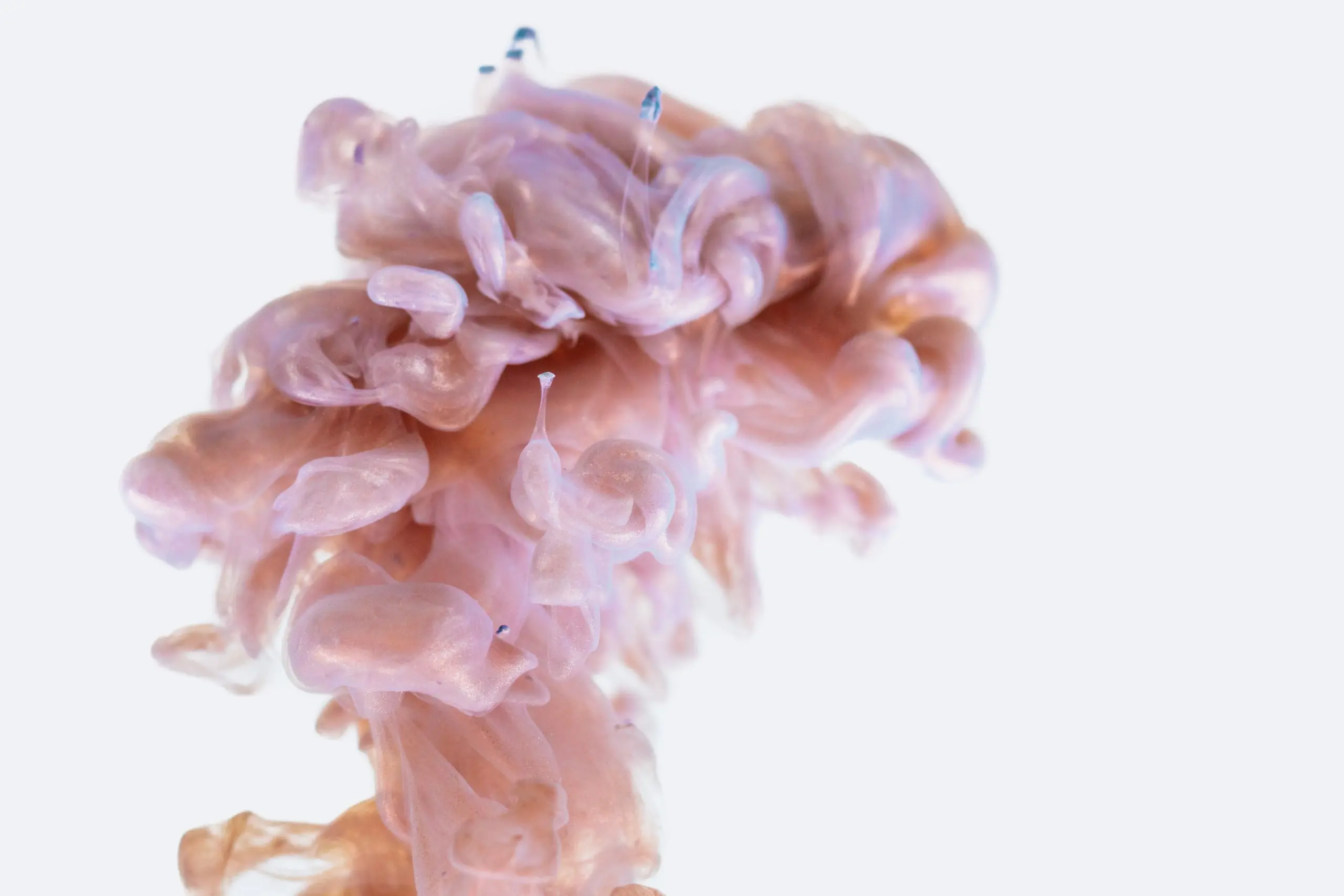 Pawel Czerwinski Q5ocifl2xkc Unsplash Scaled