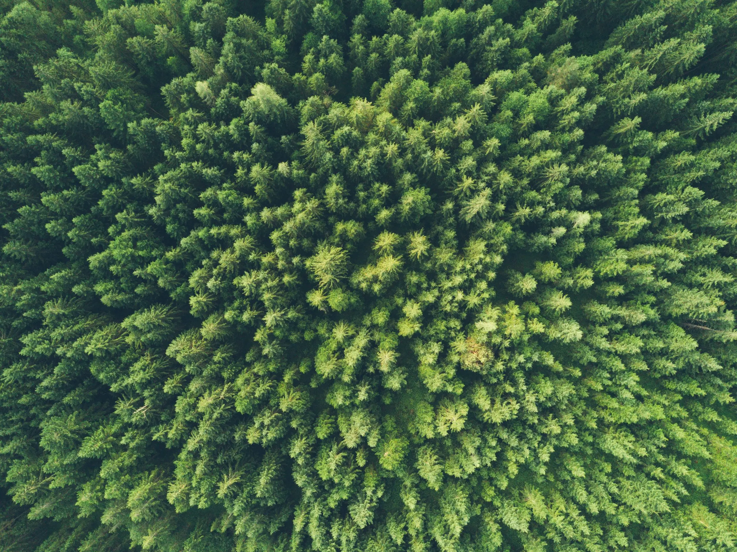 John O Nolan Umwprcrsrto Unsplash Scaled