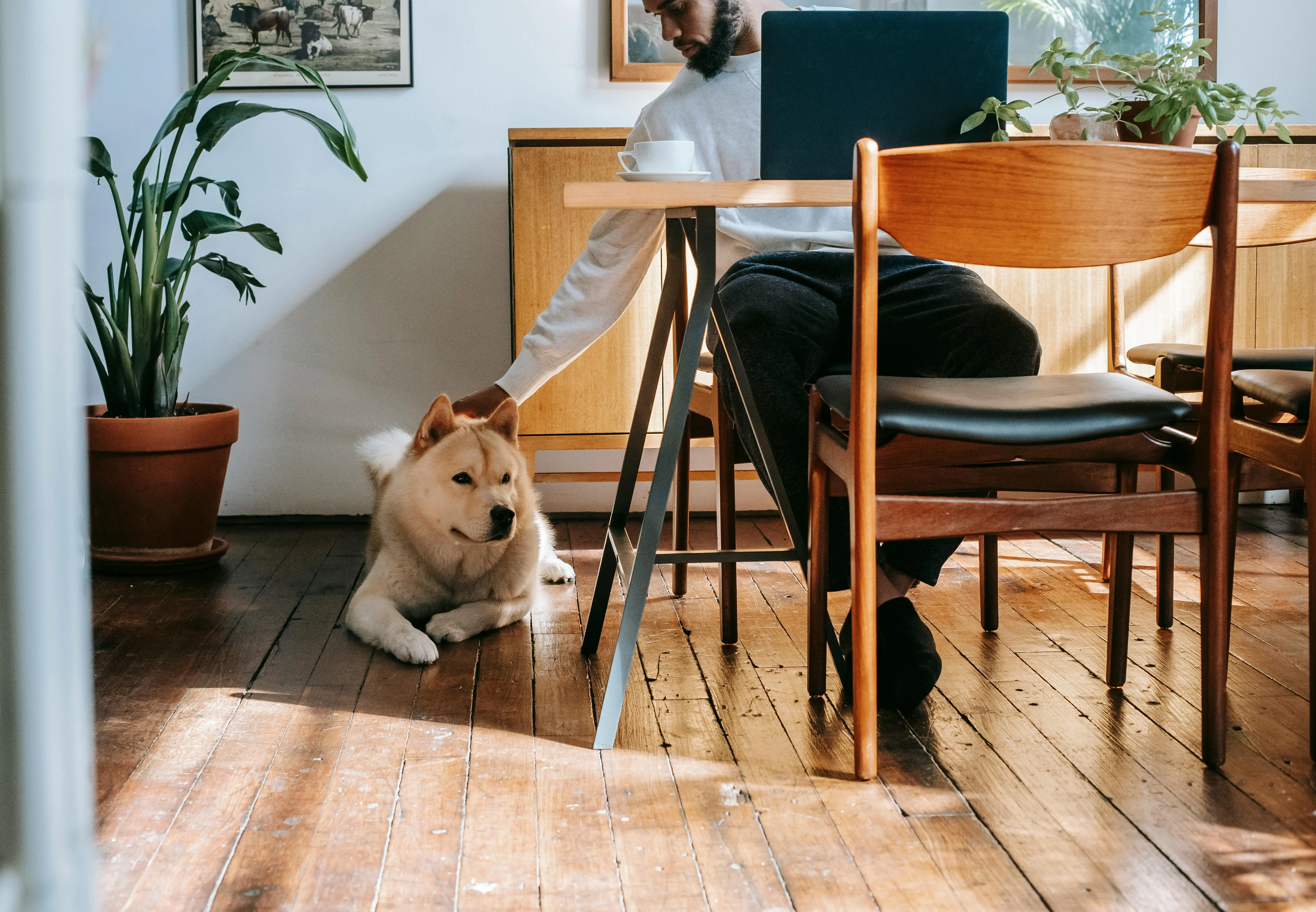 Worker And Dog