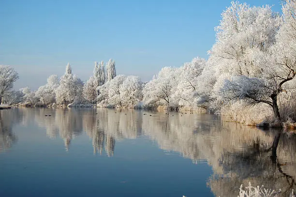Ein See im Winter mit verschneiten Bäumen.