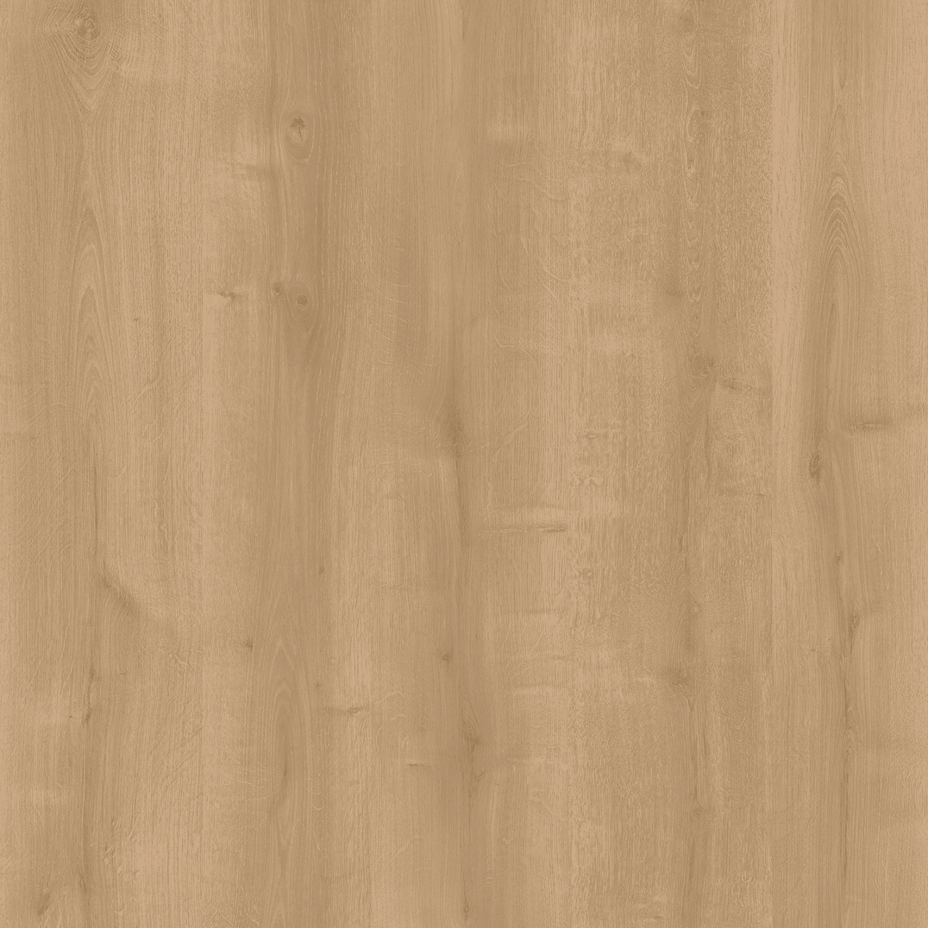 cajun oak