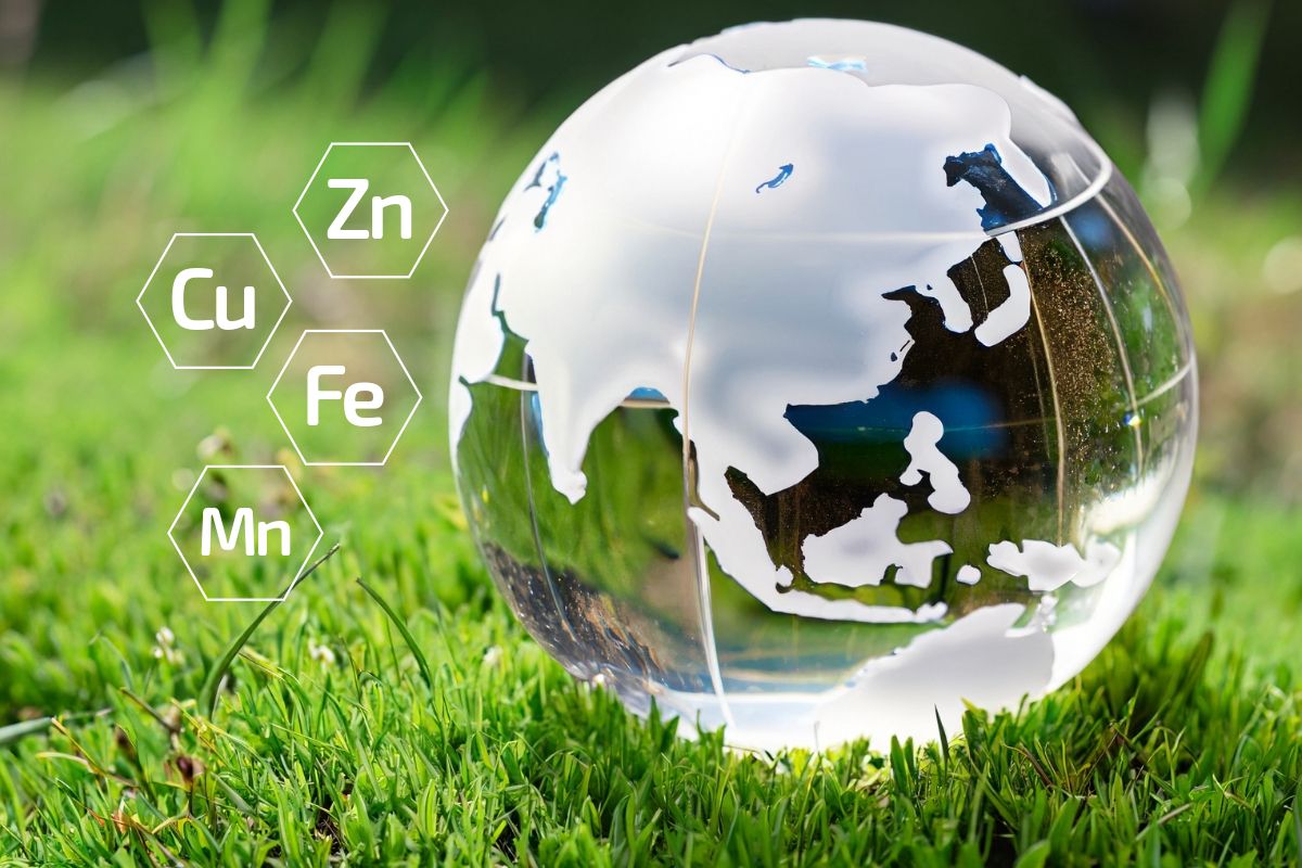 Earth Conscious Nutrition: Investigating the Trace Mineral Footprint