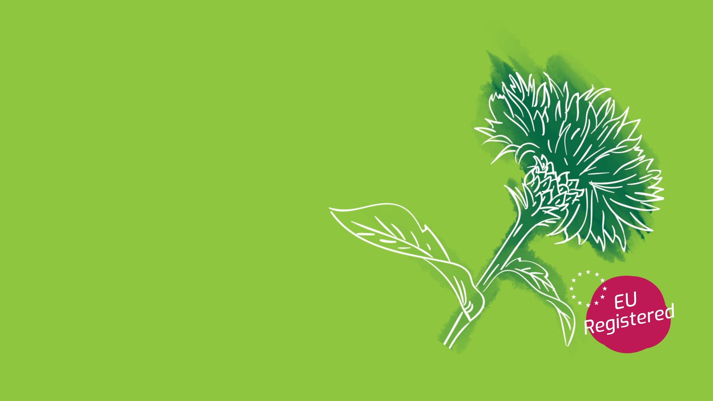 Biochem Announces Opening of New Production Plant in Lohne, Germany