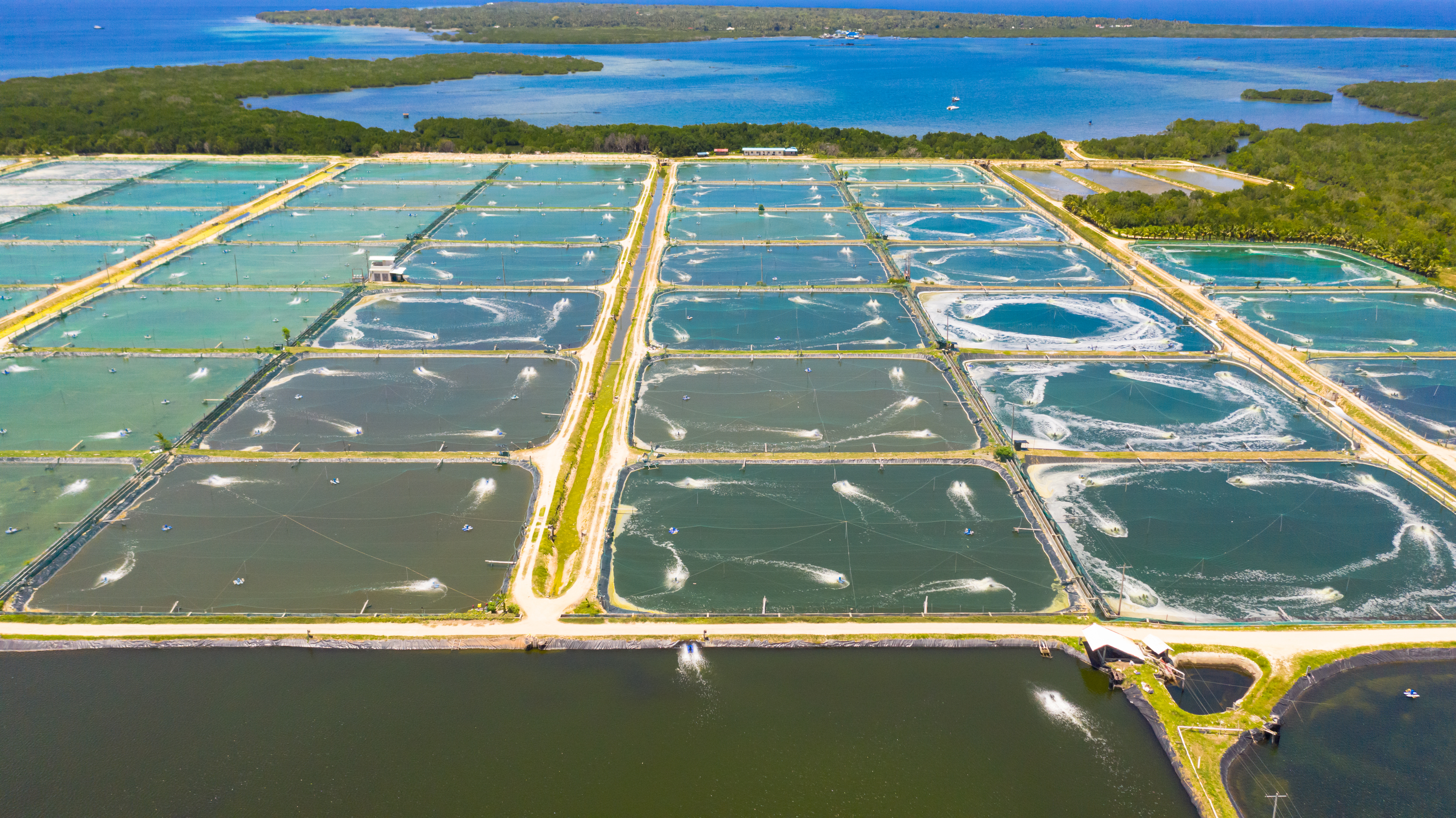 Investors Face Massive Losses Following Alleged Megan Holdings Scheme