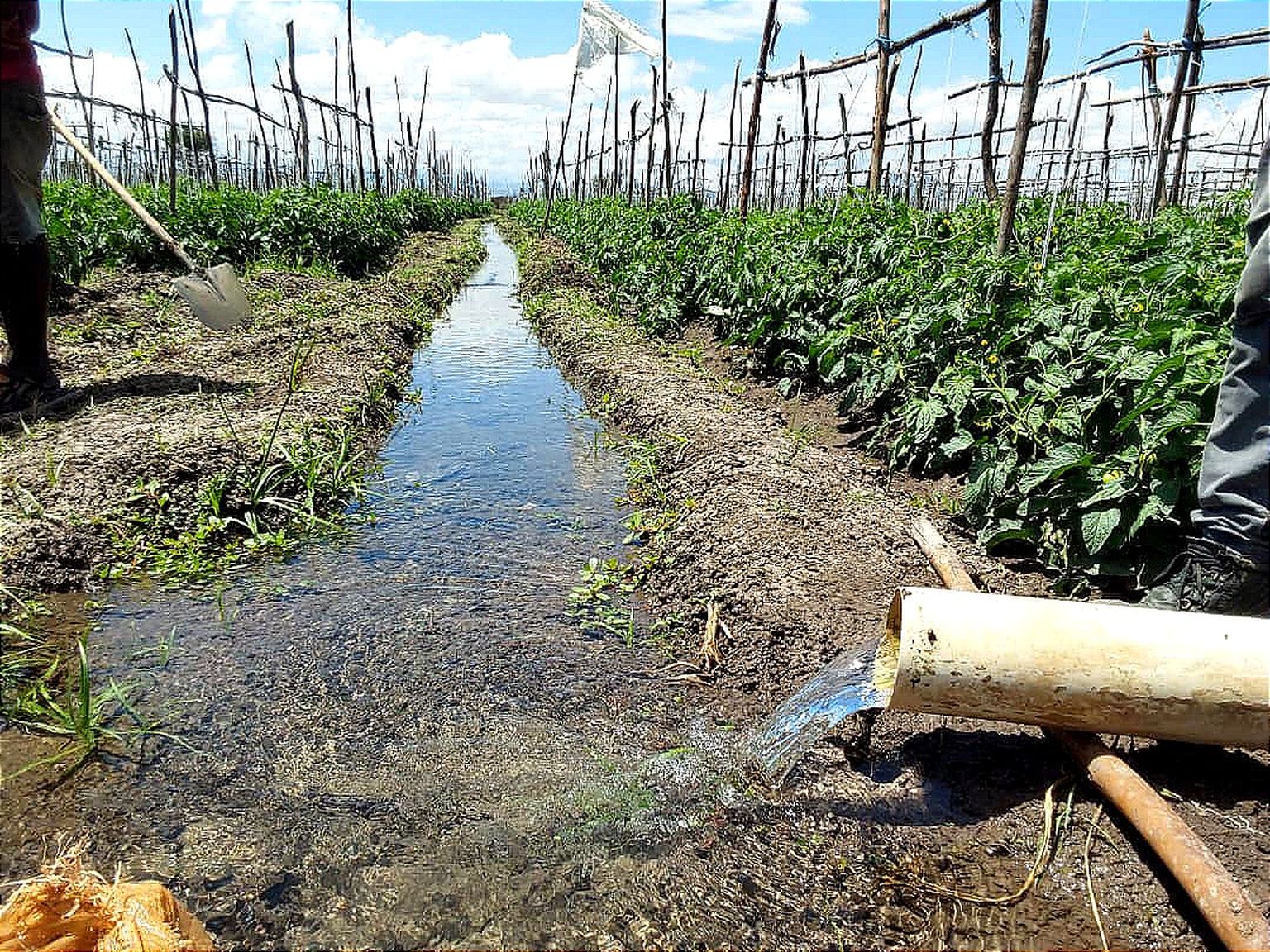 Conceptualising a sustainable path to food security and water ...