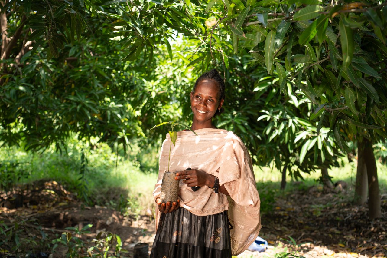 Smiling woman holding a potted plant, standing in a lush green garden with sunlight filtering through the leaves.