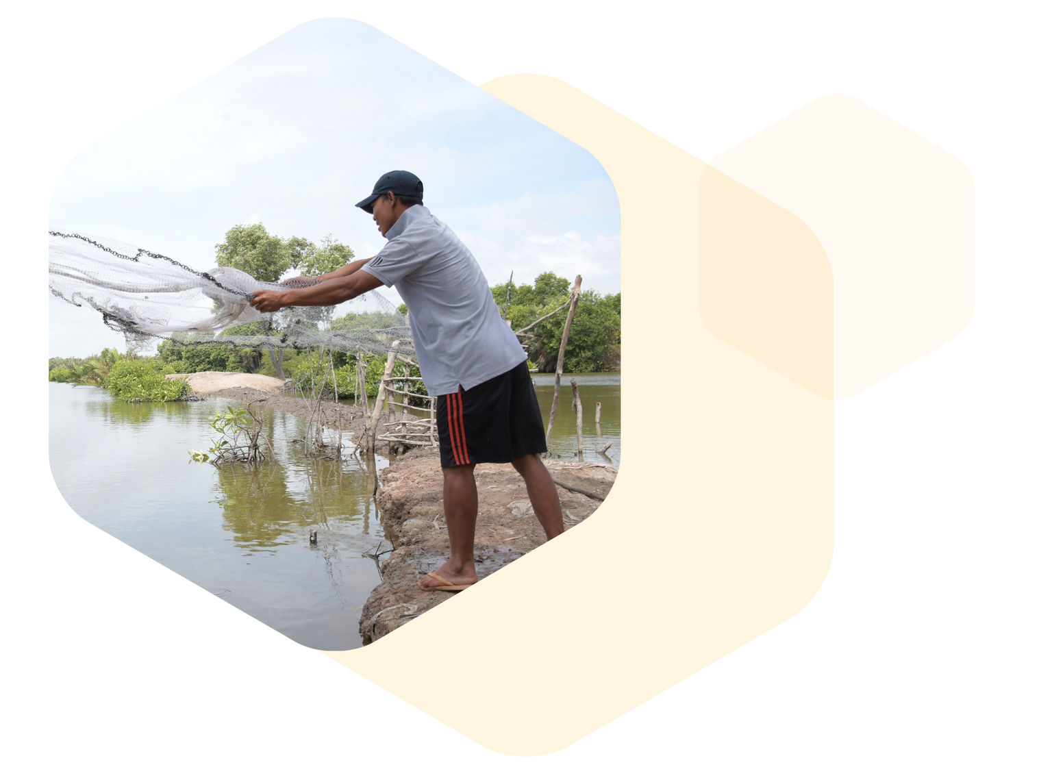 Local Action For Global Impact Snv