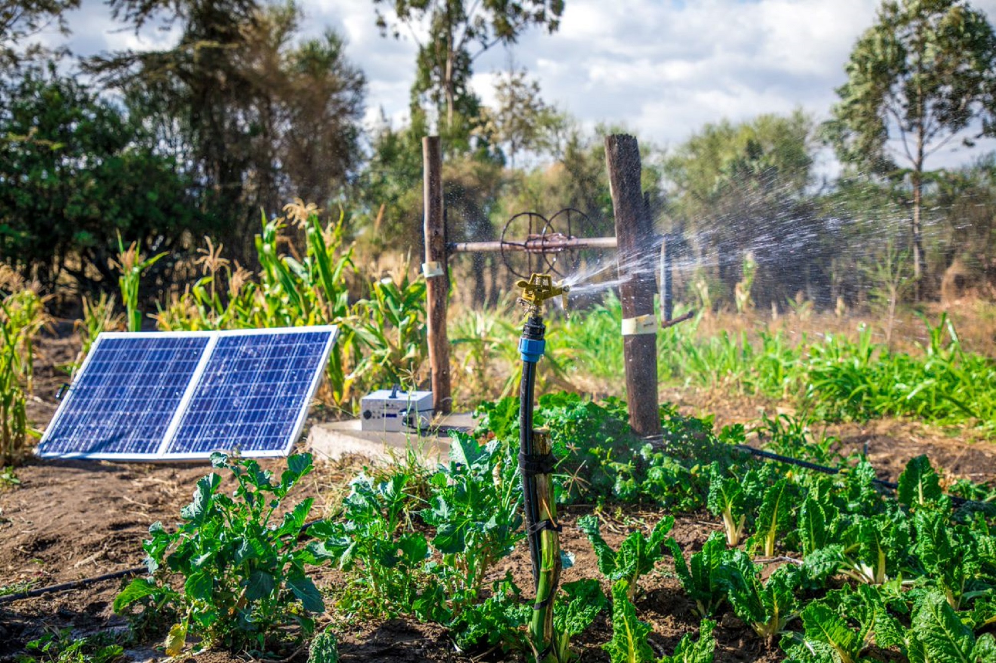 Solar powered Irrigation Systems For Smallholder Farmers In Ghana SNV