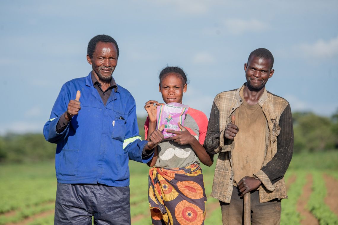 Mbereshi beans in Zambia transform smallholder farming SNV
