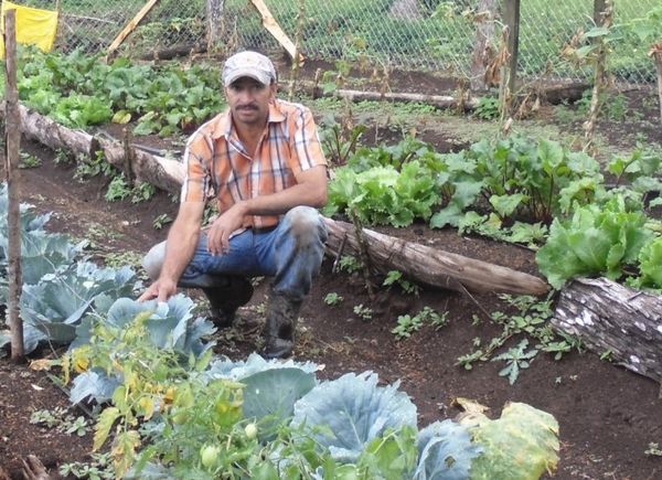 Socrates in the family kitchen garden.