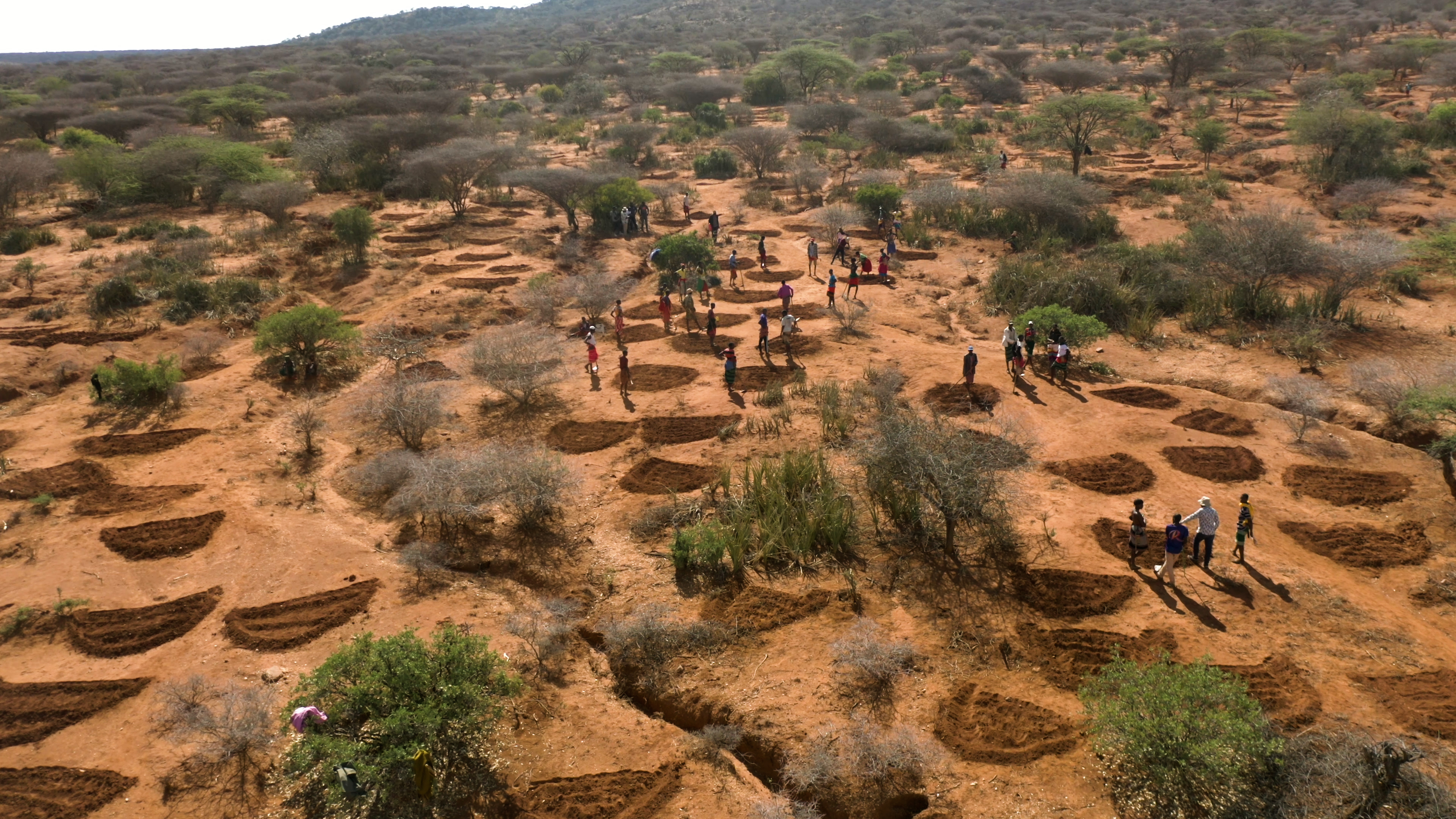 Building food system resilience in Kenya’s rangelands | SNV