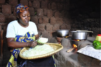 Integrated Renewable Energy Services project (IRES) - Rwanda | SNV