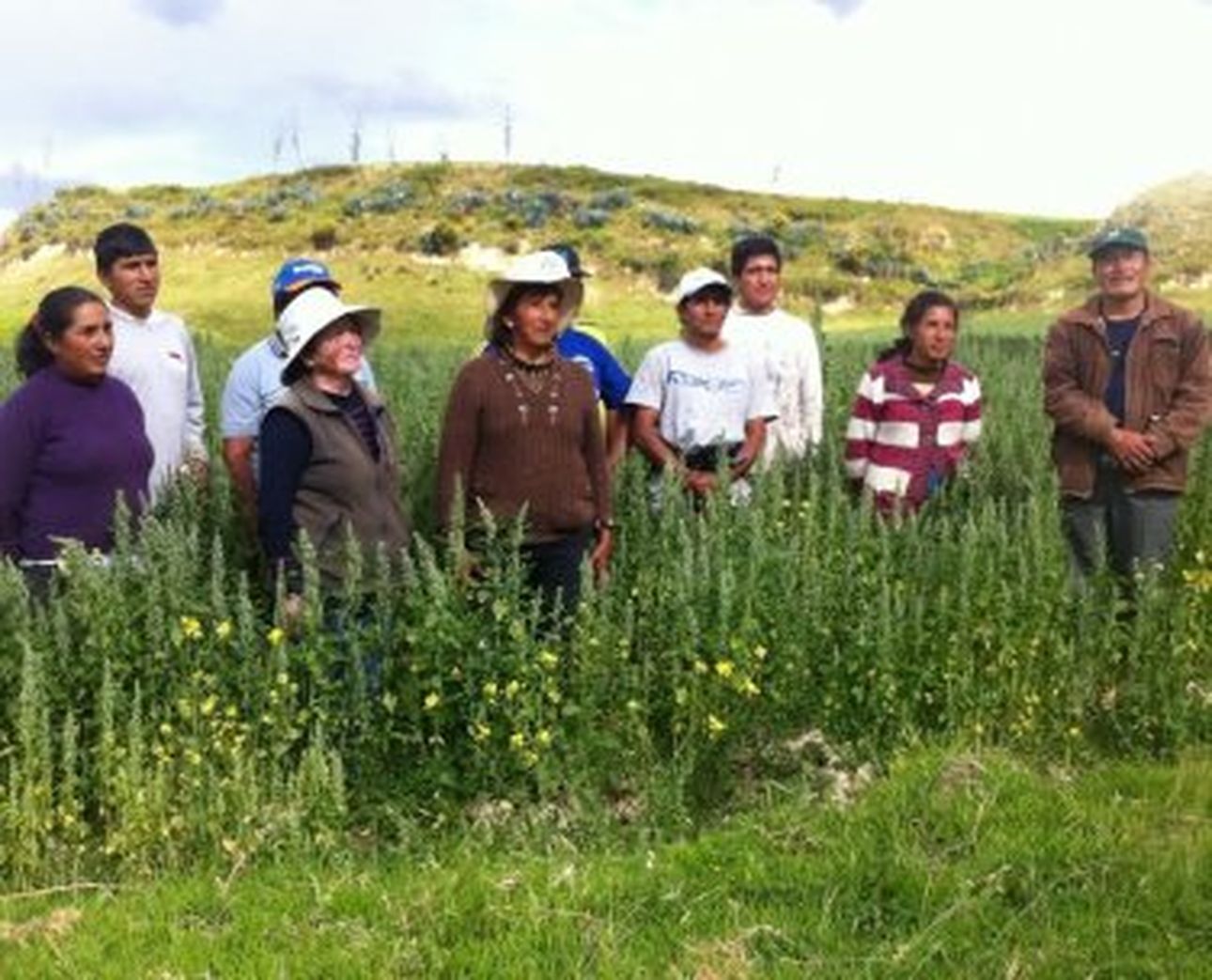 Competitiveness & leadership program in the quinoa chain