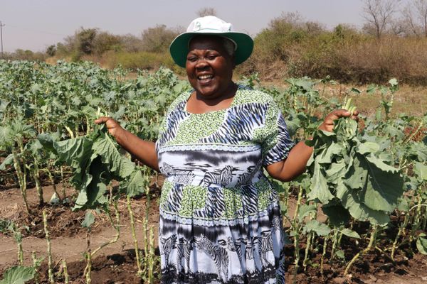 Rural Agriculture Revitalisation Programme - Commercialising Farming (RARP-CSF)