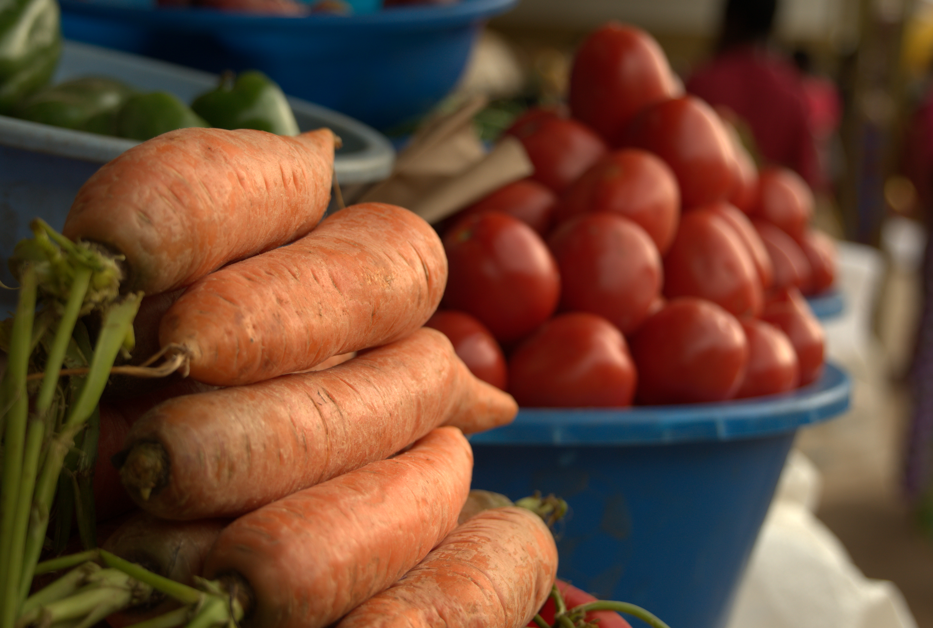 HortInvest Rwanda | SNV