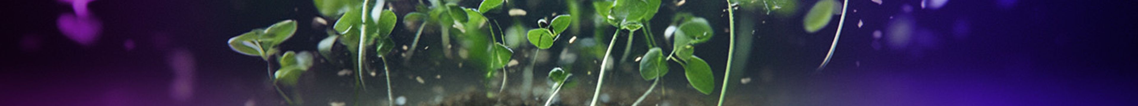 Greenery bursting out of a mobile phone