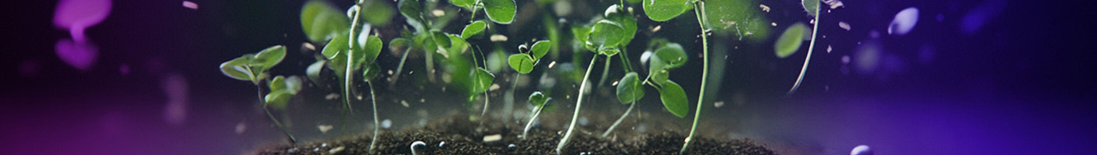 Greenery bursting out of a mobile phone