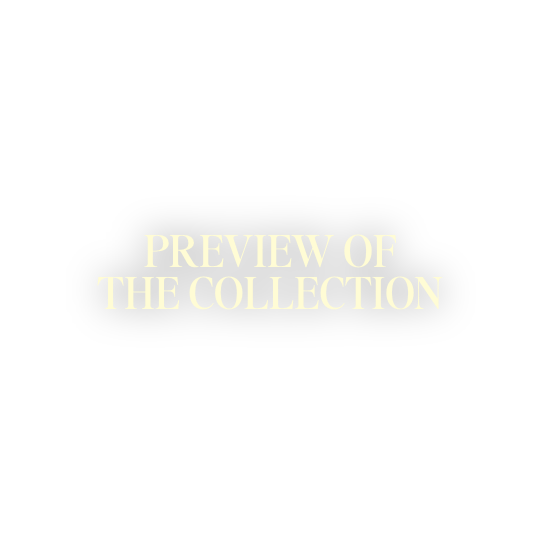 Shop de nieuwste collectie van JOSH V