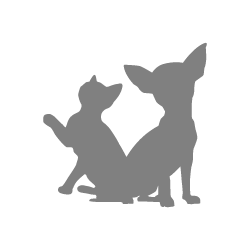 Pet Store