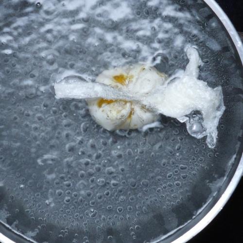 Preparazione Uovo in forma 04