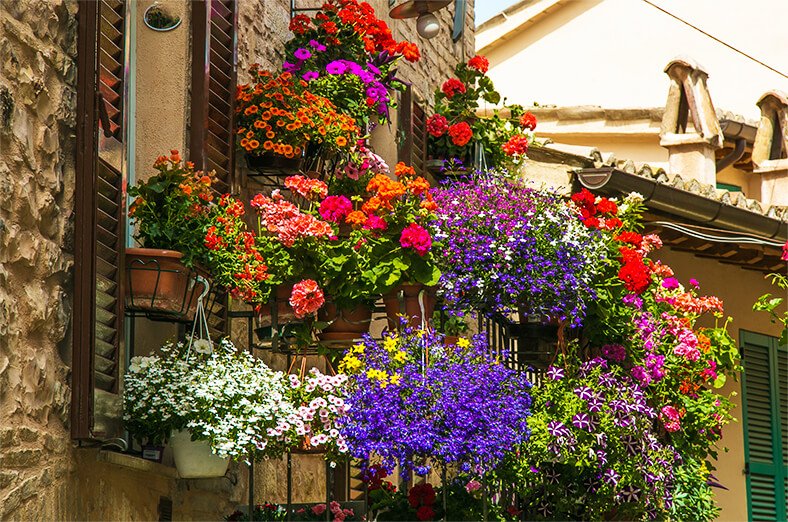 Balcone con tanti fiori colorati