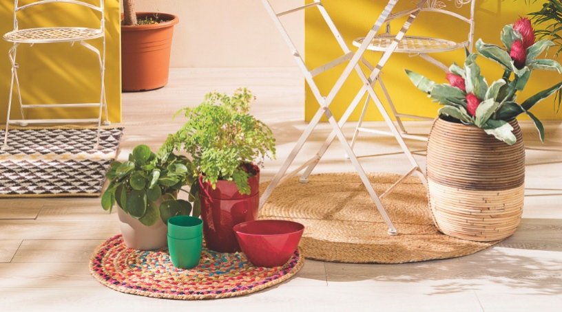 Piante in appartamento