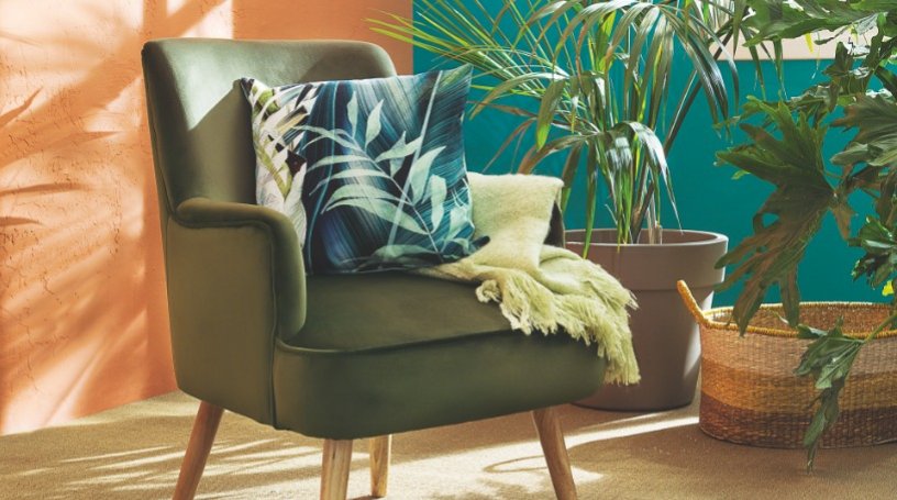 Piante in appartamento