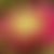 appPicture placeholder