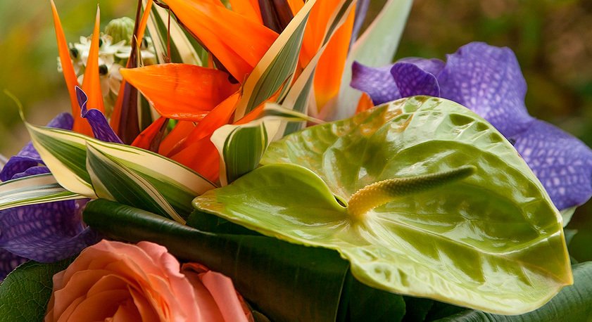 Bouquet con anturium