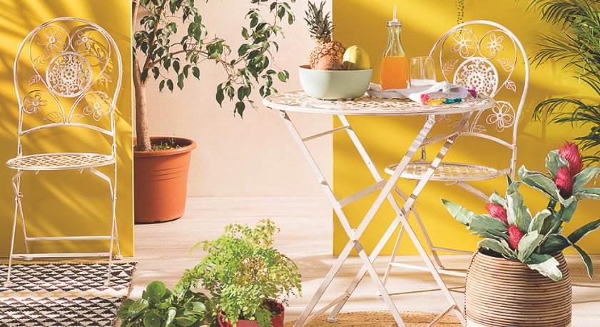 Piante in appartamento