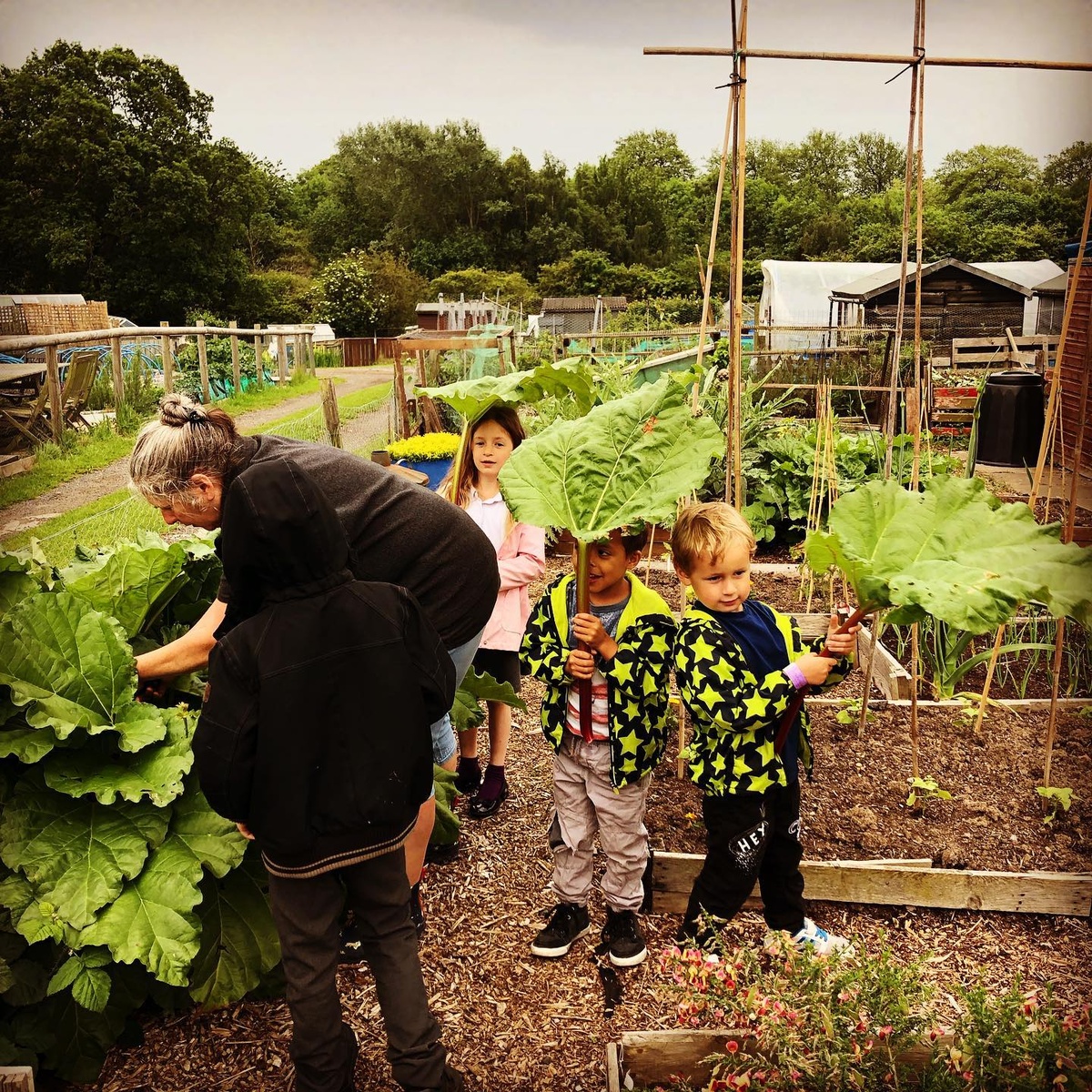 children carry out gardening work in an allotment with an older female